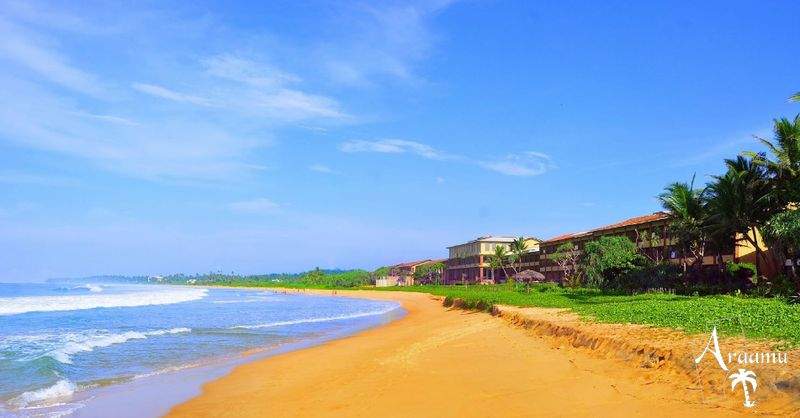 Sri Lanka, The Palms****