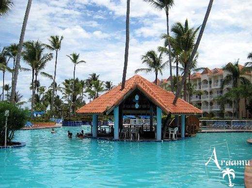 Dominika, Occidental Carib****